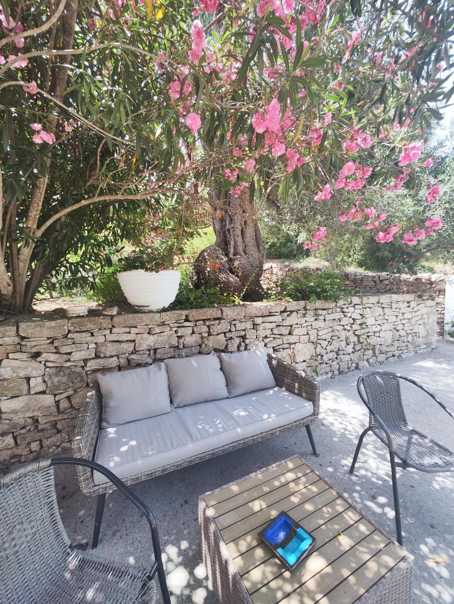 Rania'S Cottage Lakka  Ngoại thất bức ảnh
