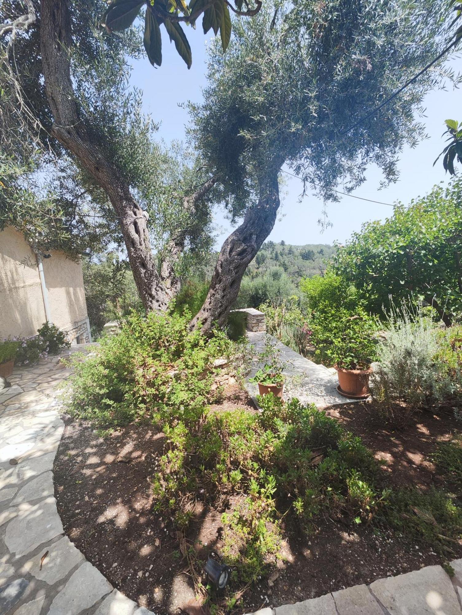 Rania'S Cottage Lakka  Ngoại thất bức ảnh