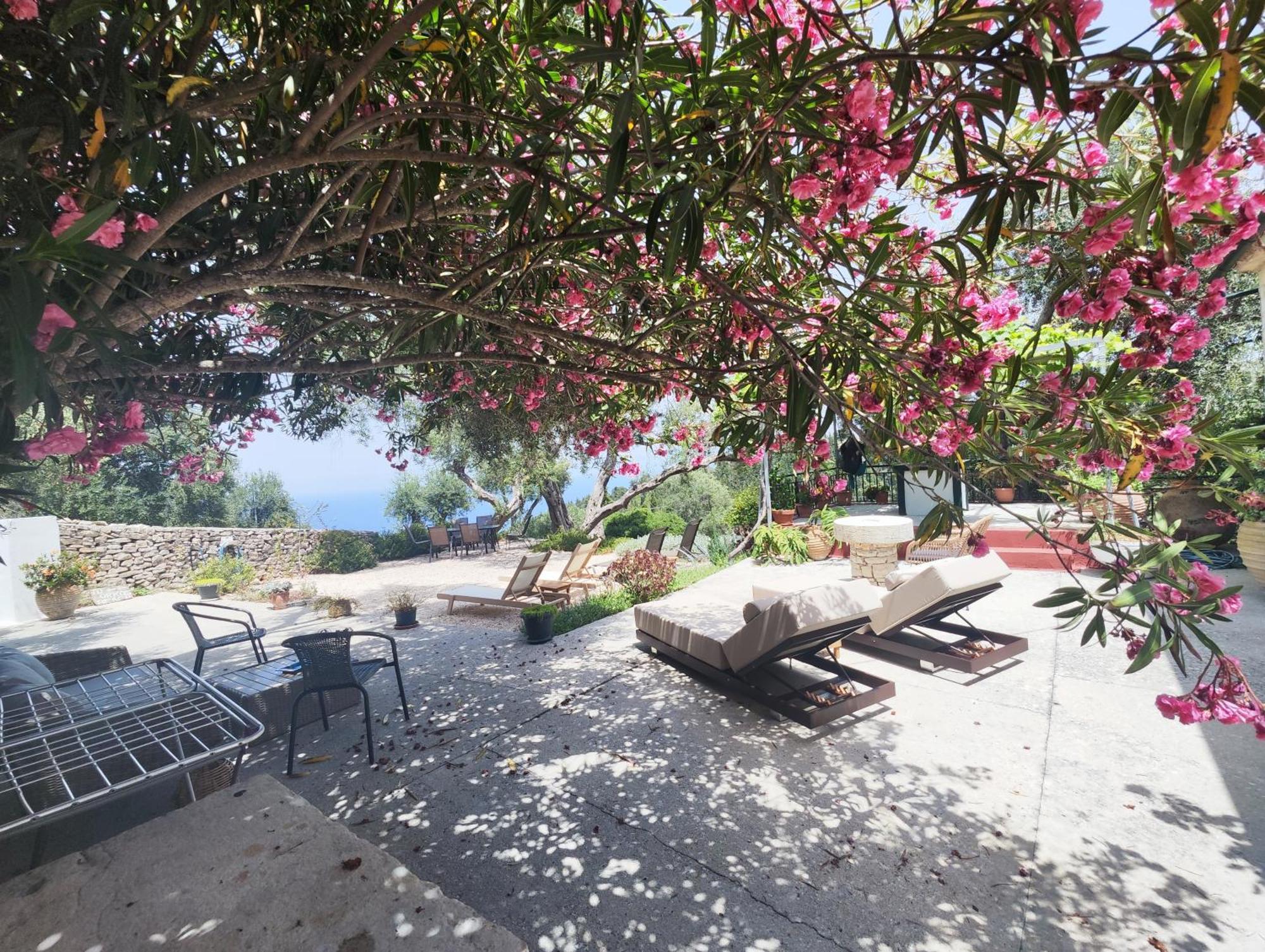 Rania'S Cottage Lakka  Ngoại thất bức ảnh